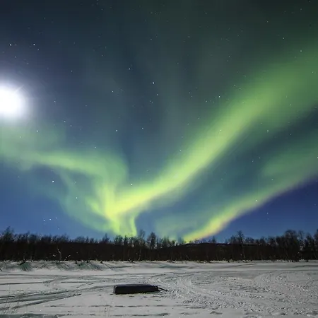 Aurora Island Ivalo